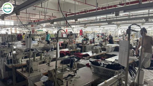 智慧行定制化咨詢 企業(yè)GSS驗(yàn)廠無(wú)憂，高效拿證拓市場(chǎng)